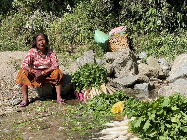 Zicht op landerijen en rijstvelden onderweg naar Kakani